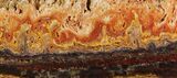 Colorful, Wild Fire Opal Slab (Not Polished) - Utah #115343-1